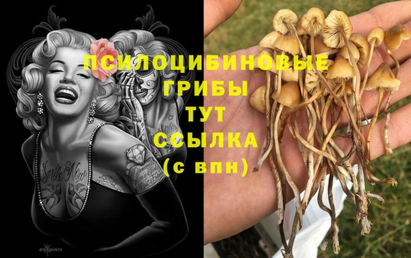 героин Заволжск