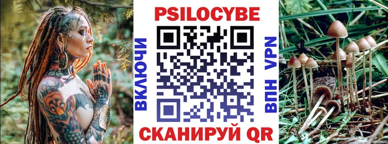 Галлюциногенные грибы Psilocybe нарко площадка Telegram Камень-на-Оби